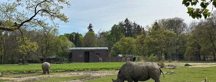 Zoologischer Garten Augsburg is one of Freizeit.