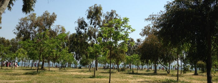 İnciraltı Kent Ormanı is one of Parklar.