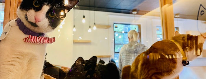 Neko - A Cat Cafe is one of Vallyri's Saved Places.