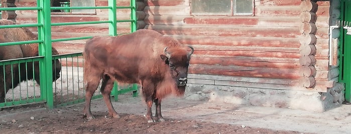 Гродненский зоопарк is one of Belarua.