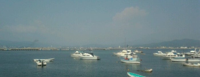 Puerto de Manzanillo is one of สถานที่ที่ Dan ถูกใจ.