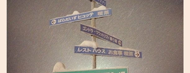 Niseko Annupuri International Ski Area is one of Best Winter Sports Locales.