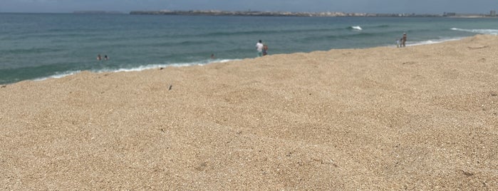 Praia da Consolação is one of Roteiro da Cottage das Cardosas Sul.