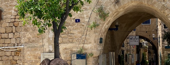 Suspended Orange Tree is one of The BEST of Israel.