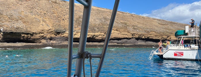 Enenui Dive Site is one of Hawaii.