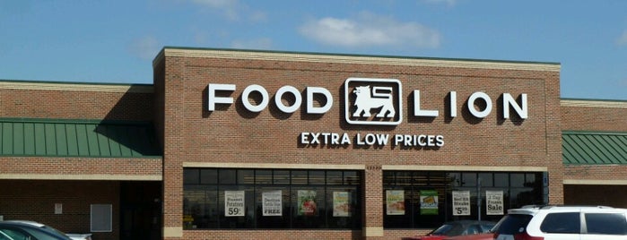 Food Lion Grocery Store is one of Shopping.