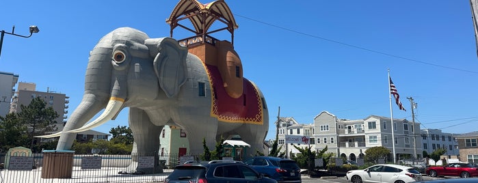 Lucy the Elephant is one of atlantic city.