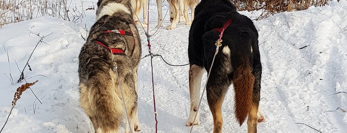 Alaskan Adventure is one of Milo'nun Beğendiği Mekanlar.