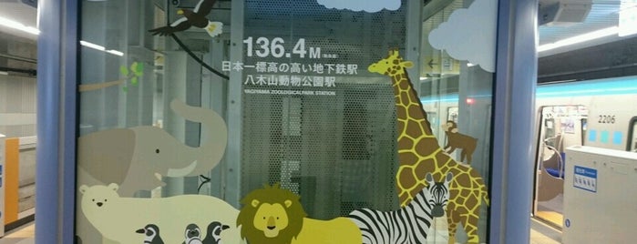 Yagiyama Zoological Park Station (T01) is one of 終着駅.