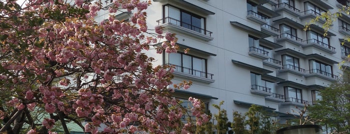 篝火の湯 緑水亭 is one of 温泉と宿泊施設.