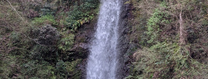 養老の滝 is one of FAVORITE PLACE.