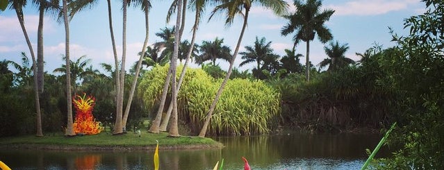 Fairchild Tropical Botanic Garden is one of Coral Gables, Miami, FL.