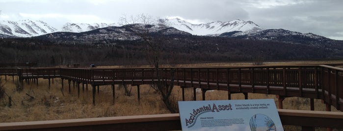 Potter Marsh is one of Cool Sites/Places in Alaska.