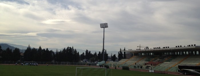 Stadio Guido Angelini is one of Things To do In Italy.