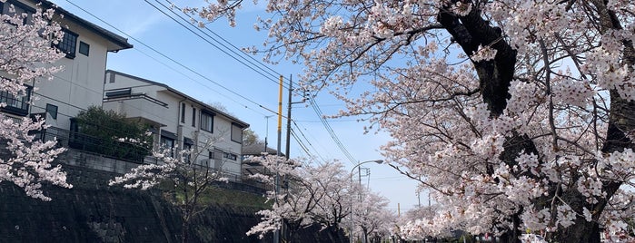 セイコーマート 南台店 is one of セイコーマート 茨城県.