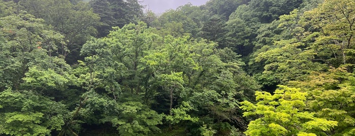 元泉館 is one of 栃木.