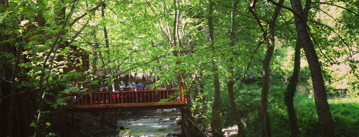 Karaaslan Camping - Avcı Paintball & ATV Safari is one of สถานที่ที่บันทึกไว้ของ Adem.