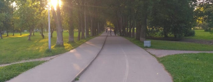 Велодорожка в Муринском парке is one of Места, где я чекинюсь.