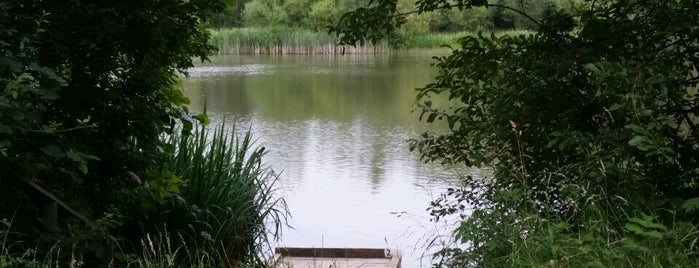 Williamthorpe Ponds Five Pits is one of Favorite Great Outdoors.