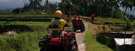 Paddy ATV's riding is one of สถานที่ที่ Sada ถูกใจ.