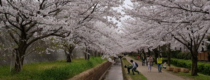 おゆみの道 is one of Sada’s Liked Places.