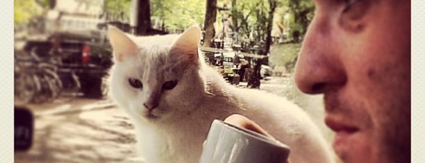Café Bouwman is one of (Pub)cats in Amsterdam.