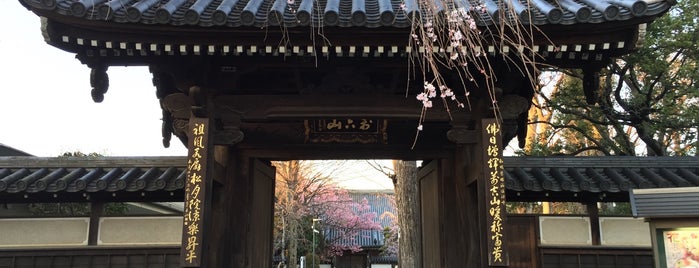 松月院 is one of Tempat yang Disukai Masahiro.