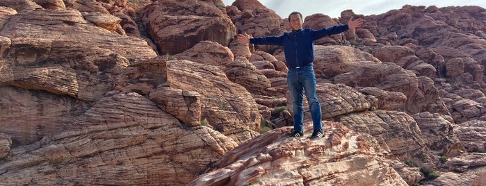 Red Rock Canyon National Conservation Area is one of สถานที่ที่ Fernando ถูกใจ.