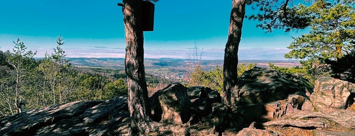 Hvíždinec (476 m.n.m.) is one of Se psem na výlet.