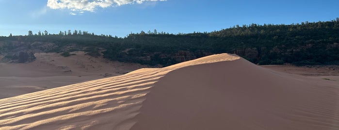 Coral Pink Sand Dunes State Park is one of act/ive.