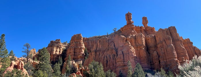 Red Canyon is one of Utah + Vegas 2018.