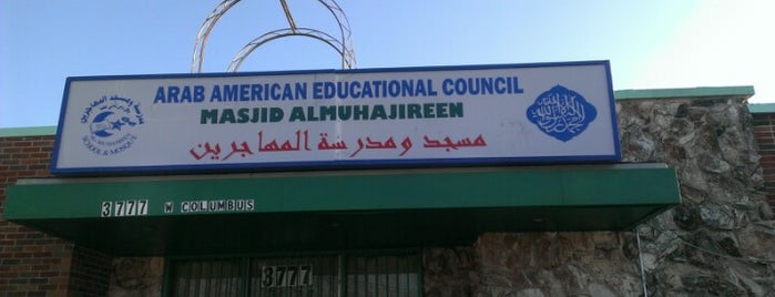 Arab American Action Network is one of Little Levantine.