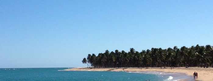 Praia do Gunga is one of Praias de Alagoas.