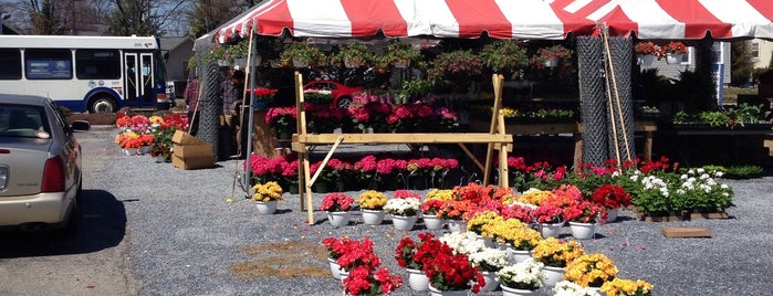 Diehls Produce Stand is one of Annapolis/Eastport.
