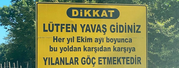 Kızıl Irmak Kuş cenneti is one of UNESCO.