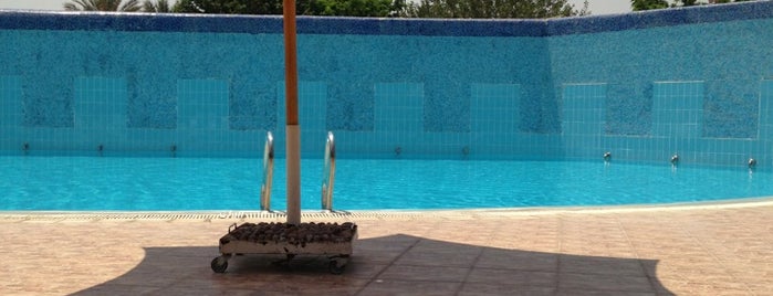 Wadi Degla Olympic Pool is one of 5thSettle Guide - التجمع الخامس.