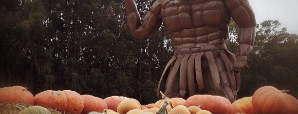 Arata's Pumpkin Farm is one of Lugares favoritos de Chris.