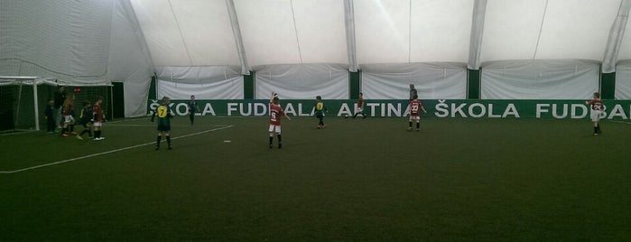 FK Altina is one of Locais curtidos por MarkoFaca™🇷🇸.