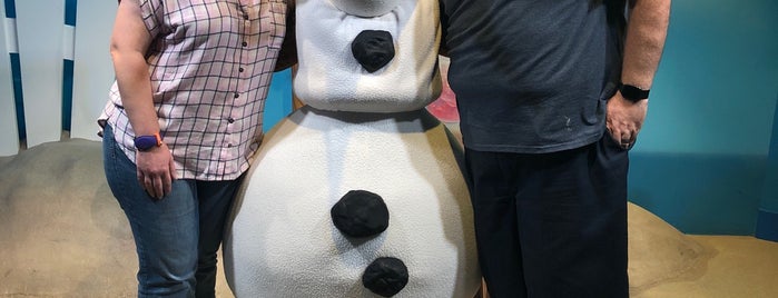 Olaf Meet and Greet is one of M.さんのお気に入りスポット.