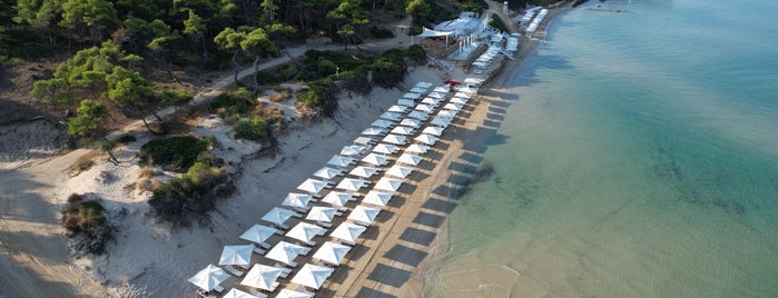 Bousoulas Beach is one of 🌞🌊Chalkidiki-->to The Beach 🐋🐬🐟🐠🐡🦀.