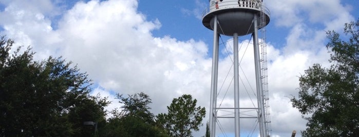 Earful Tower is one of Lake Buena Vista, Arts & Entertainment.