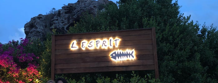 L'Esprit is one of Lieux sauvegardés par Nam.