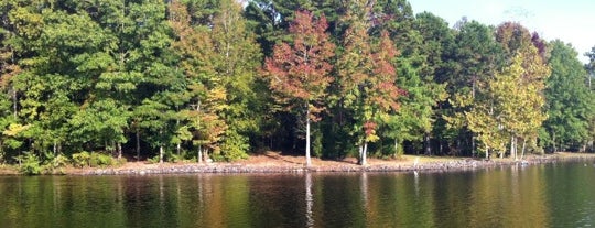 Cane Creek Park is one of Lugares favoritos de SpAcE cHimP.