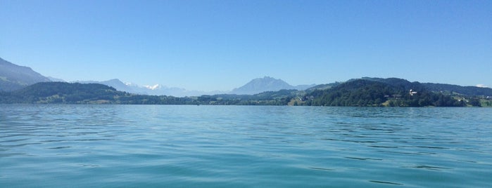 Zugersee is one of Dirkさんのお気に入りスポット.