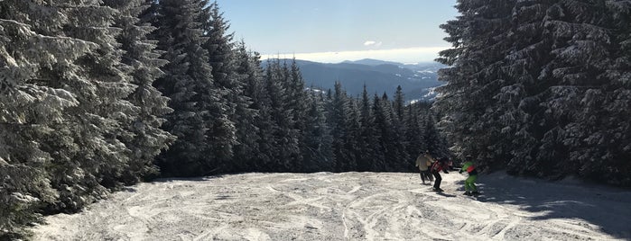 Stübenwasen is one of Black Forest Mountains.