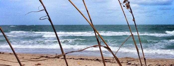 Hobe Sound Beach is one of Orte, die Lizzie gefallen.