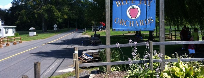 Blue Jay Orchards is one of adventures outside nyc.
