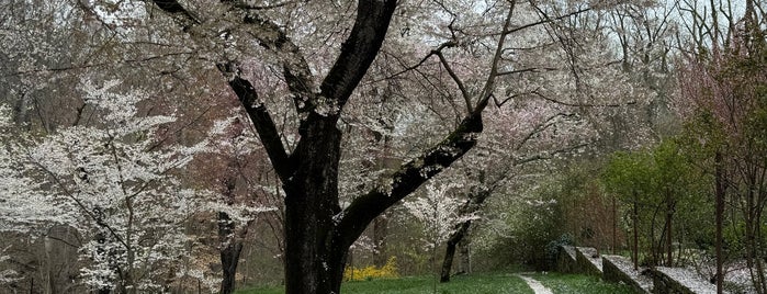 Dumbarton Oaks Gardens is one of Washington DC.