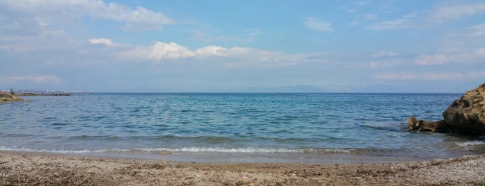 Παραλία "Τρεις κι ο κούκος" is one of summer.
