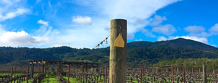 Robert Mondavi Winery is one of Napa Valley.